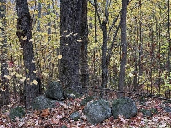 Lot 005 Greenwood Brook Road , Industry, ME 04938