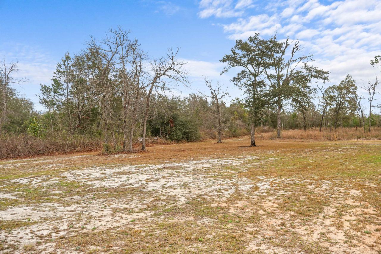 21835 NW Lake Mckenzie Boulevard, Altha, FL 32421 Photo