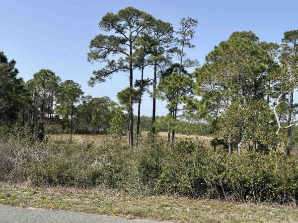 643 & 647 Bald Point Road , Alligator Point, FL 32346