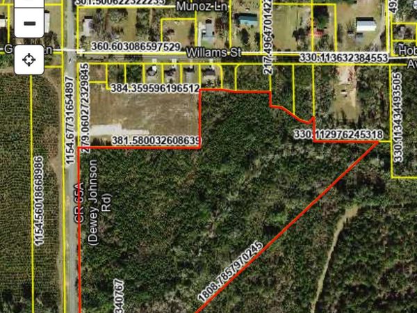 360 Dewey Johnson Way Way, Gretna, FL 32332