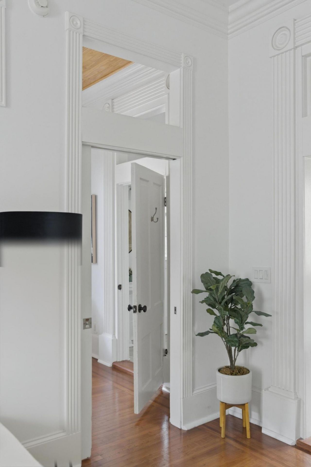 33 Pitt Street Photo 22