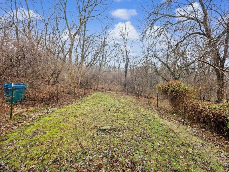 2439 Warren Street, Covington, KY 41014 Photo 19