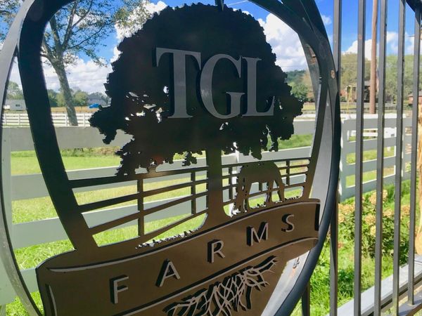 2455 Long Hollow Pike, Hendersonville, TN 37075