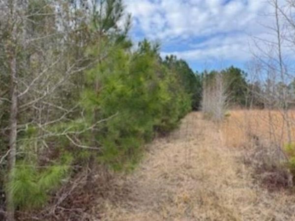 791 Moulds Rd. , Lake City, SC 29560