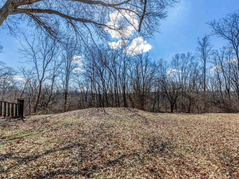 5801 Blue Spruce Lane, Cincinnati, OH 45224 Photo 49