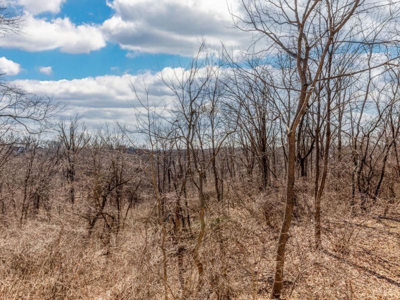 5801 Blue Spruce Lane, Cincinnati, OH 45224 Photo 51