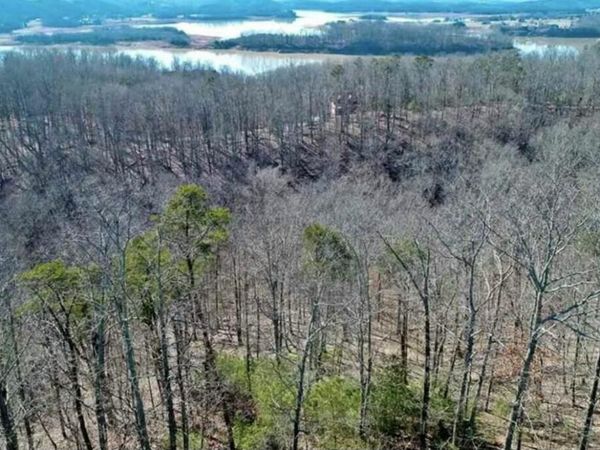 1410 Echota Lane, Mooresburg, TN 37811