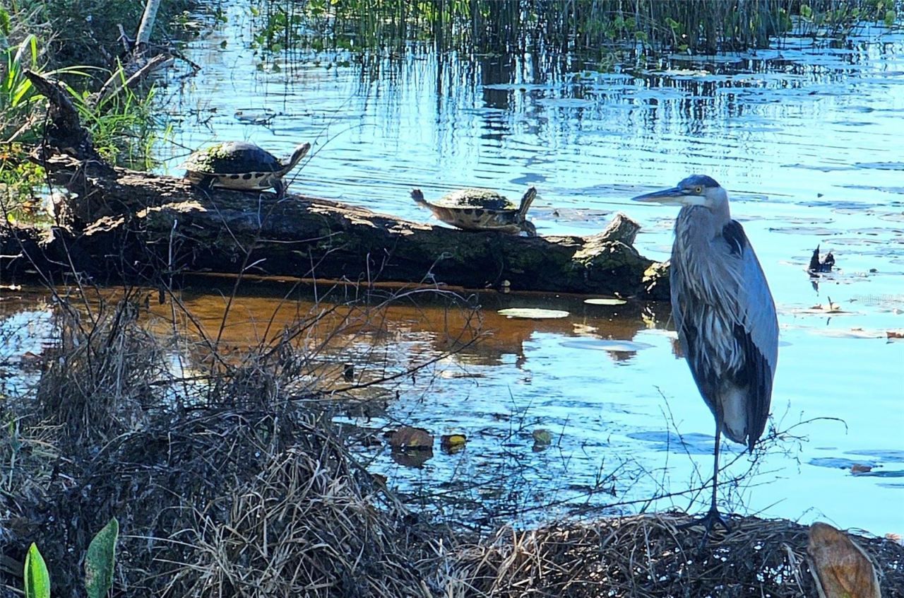 1718 86th Street Nw, Bradenton, FL 34209 Photo