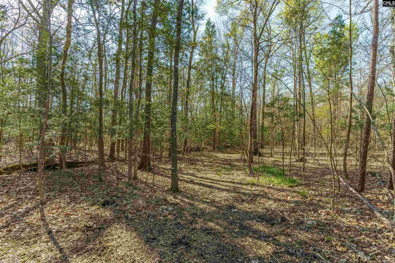 Parcel A Grover Wilson Road  Photo 10