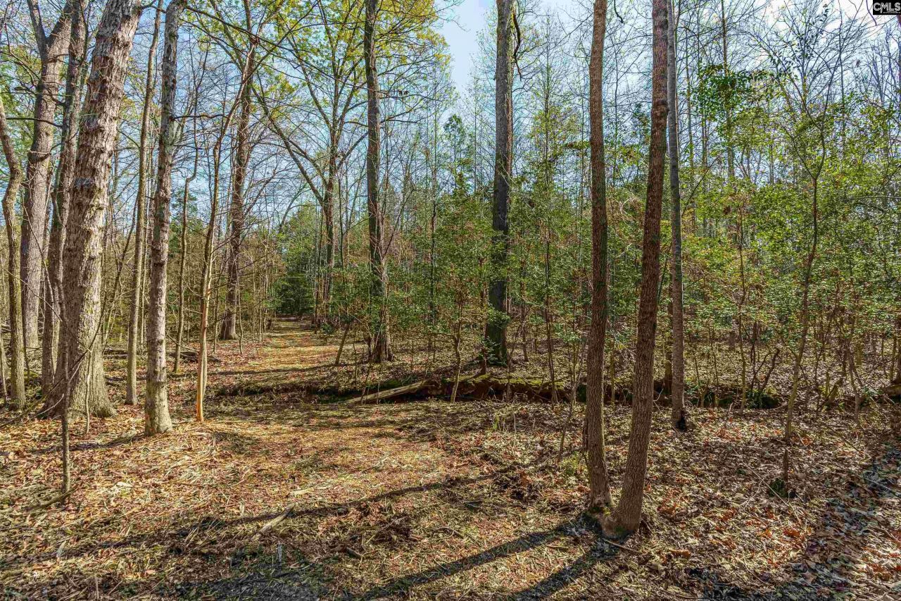 Parcel A Grover Wilson Road  Photo 11