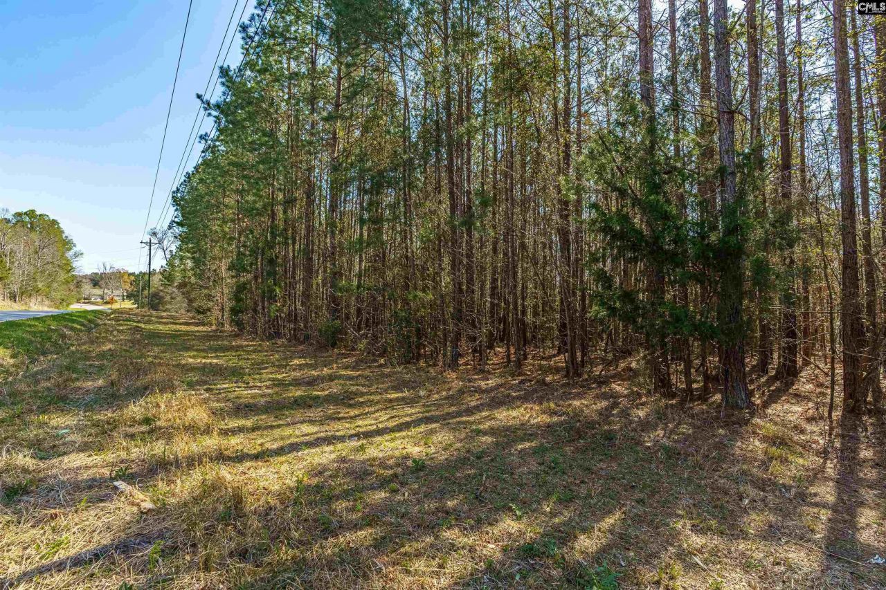 Parcel A Grover Wilson Road  Photo 12