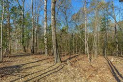 Parcel A Grover Wilson Road  photo 4