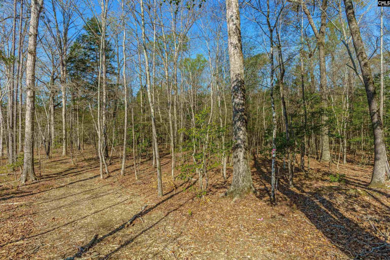 Parcel A Grover Wilson Road  Photo 5