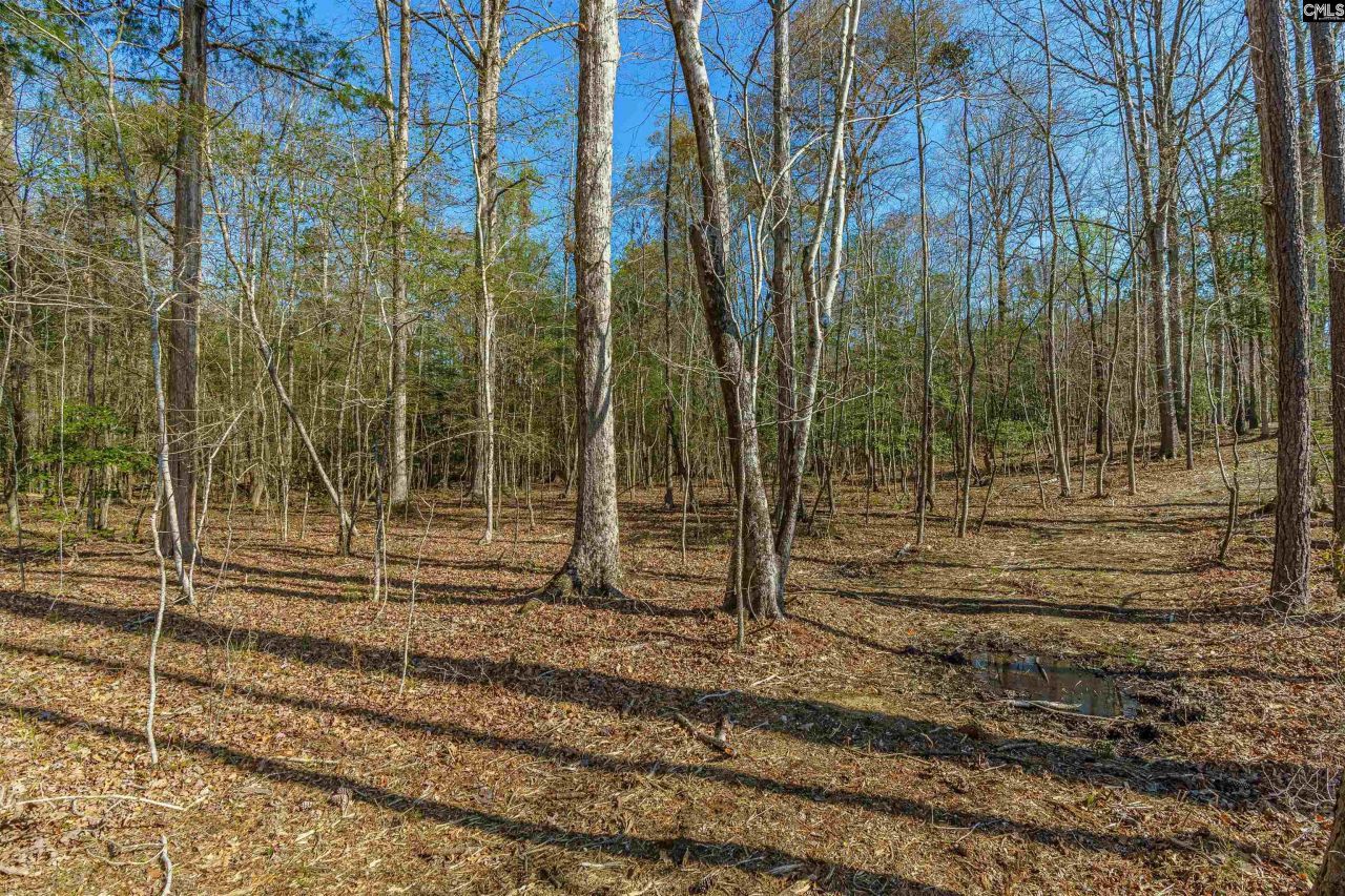 Parcel A Grover Wilson Road  Photo 6