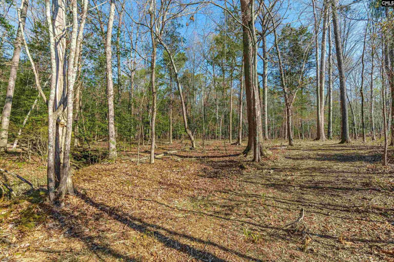 Parcel A Grover Wilson Road  Photo 7