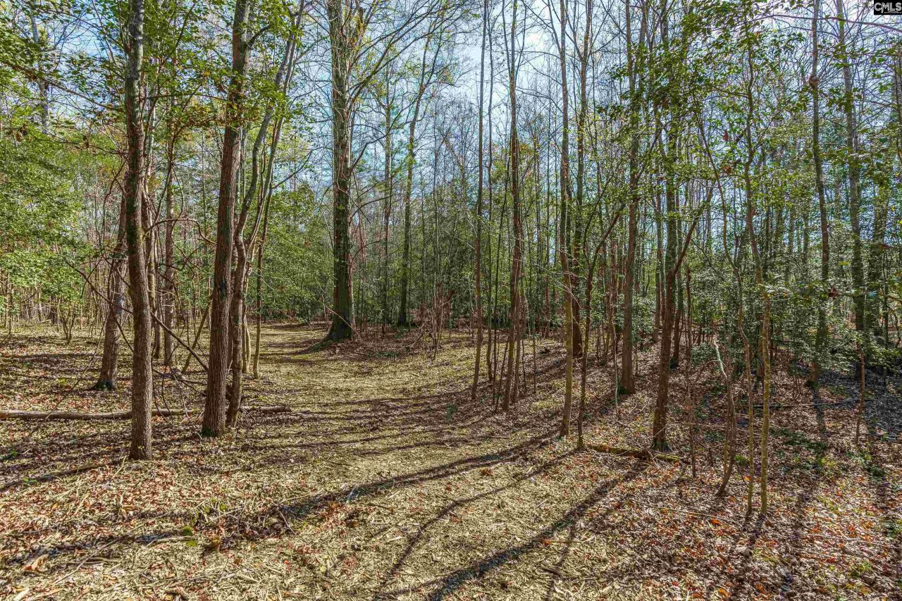 Parcel A Grover Wilson Road  Photo 8