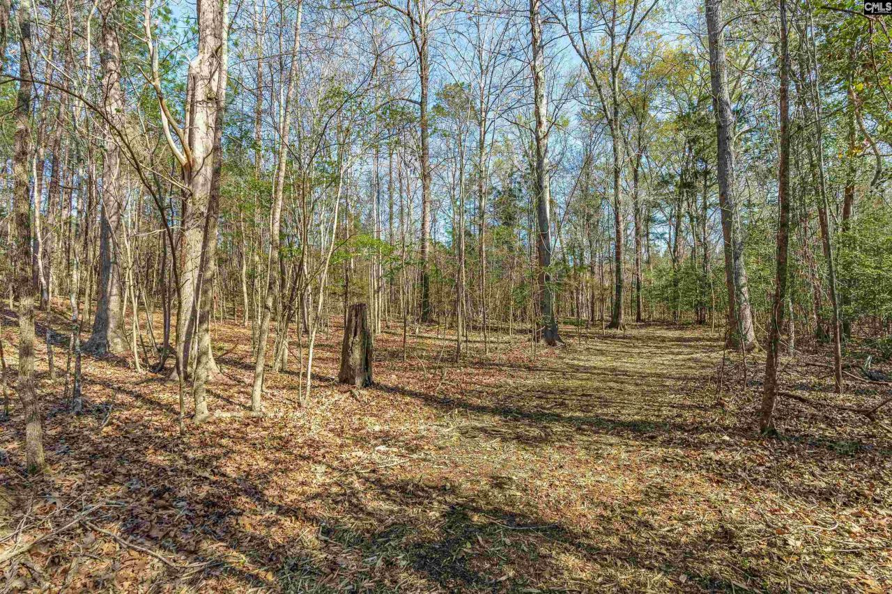 Parcel A Grover Wilson Road  Photo 9