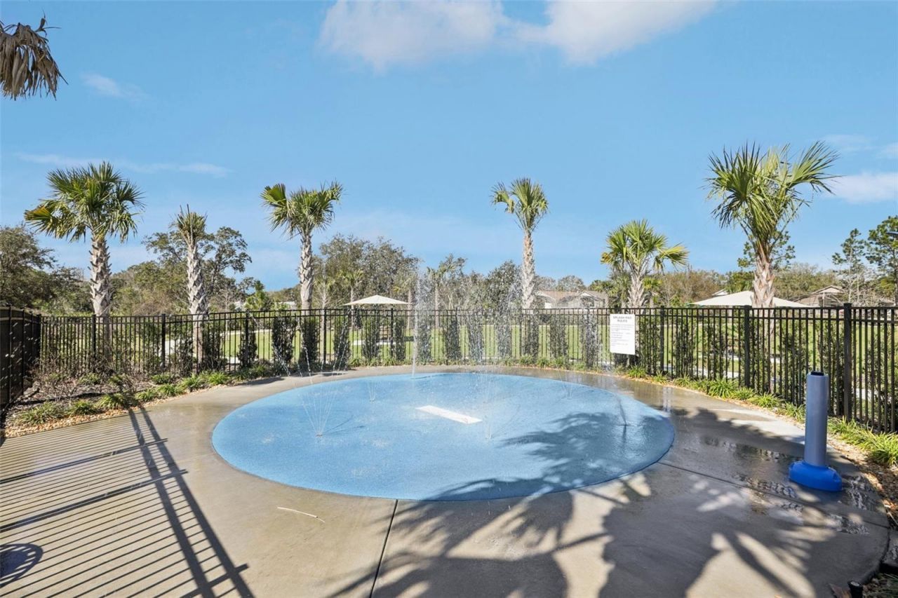 3110 Sanctuary Drive, Clermont, FL 34714 Photo