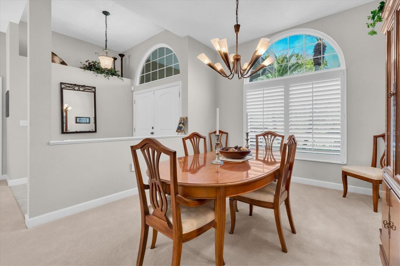 1105 Arlinbrook Drive, Trinity, FL 34655 Photo