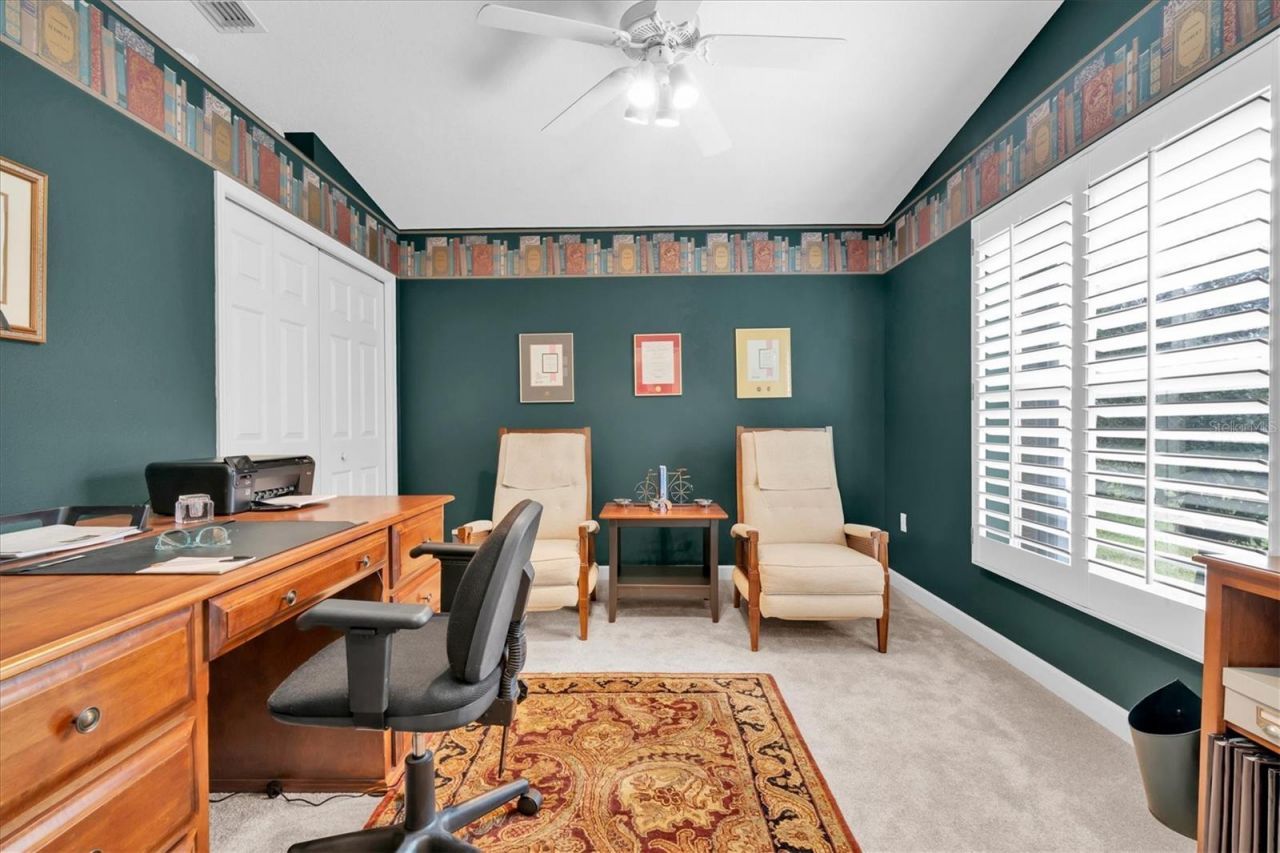 1105 Arlinbrook Drive, Trinity, FL 34655 Photo