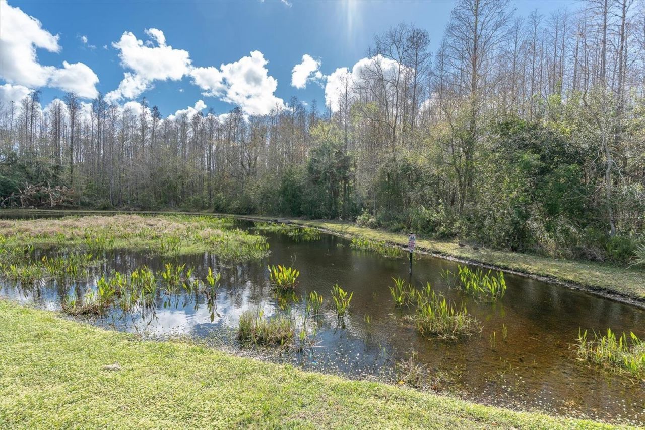 1105 Arlinbrook Drive, Trinity, FL 34655 Photo