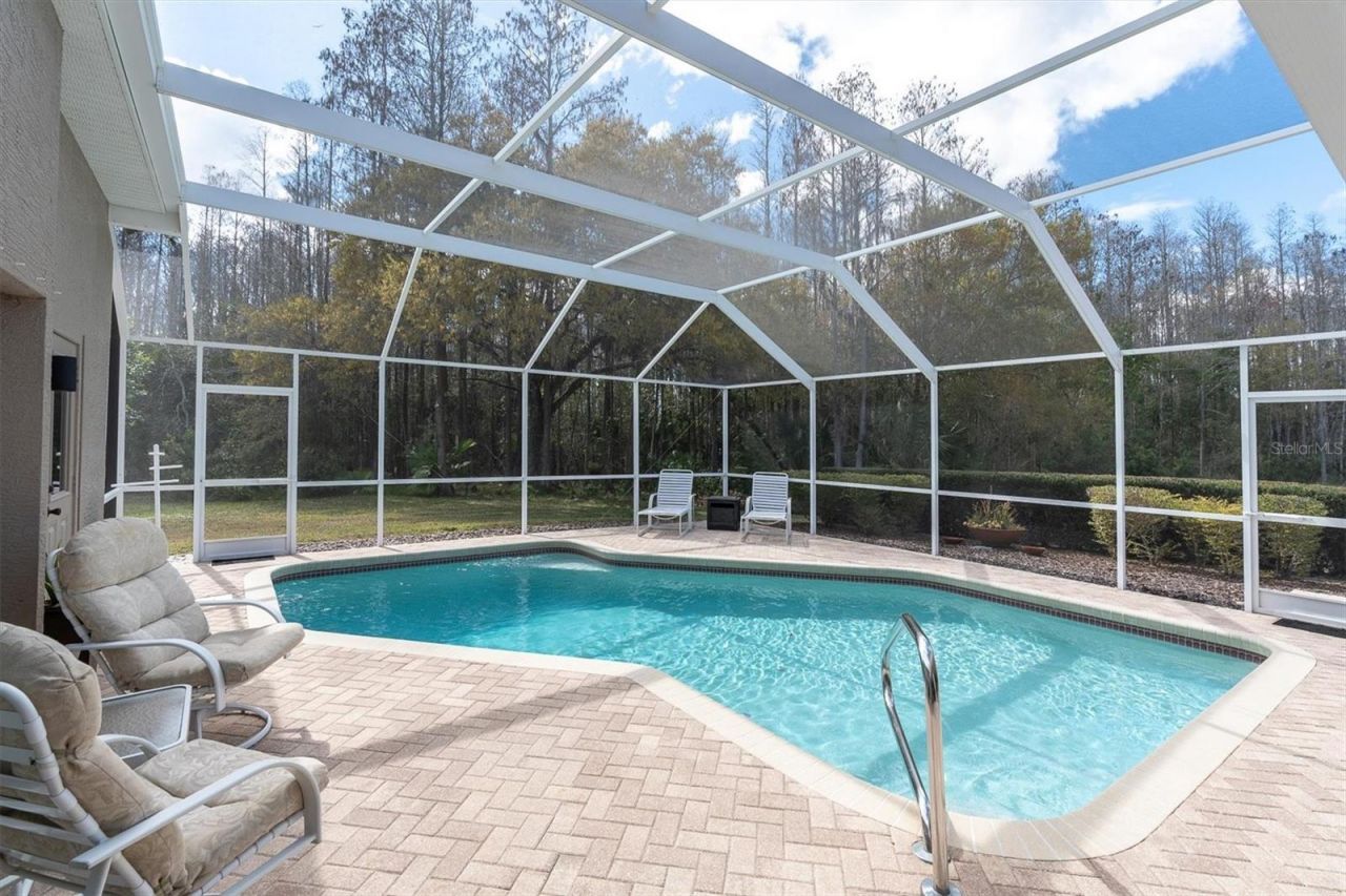 1105 Arlinbrook Drive, Trinity, FL 34655 Photo