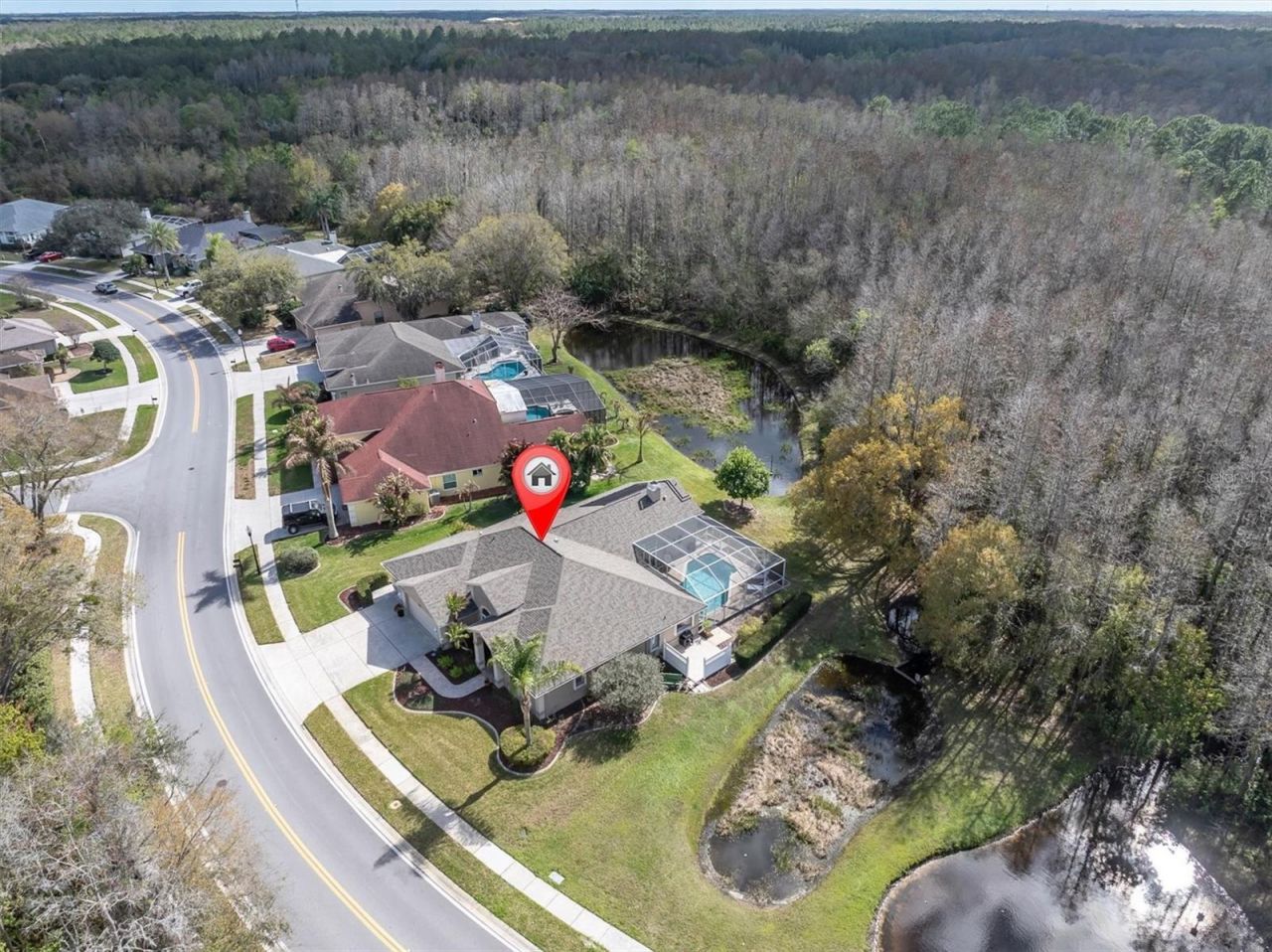 1105 Arlinbrook Drive, Trinity, FL 34655 Photo