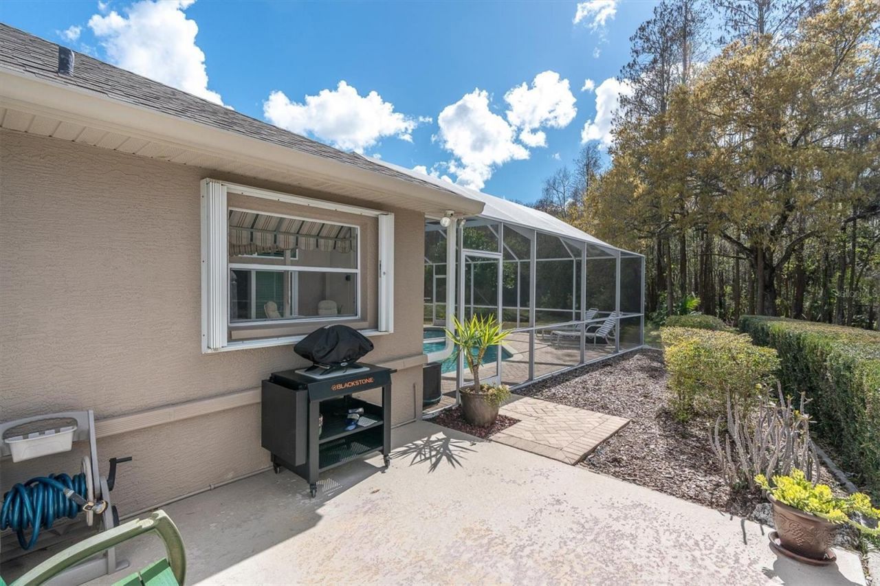 1105 Arlinbrook Drive, Trinity, FL 34655 Photo