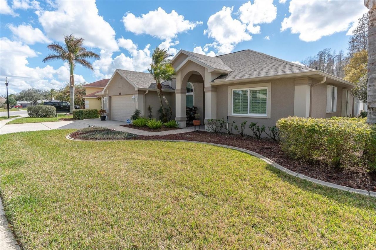 1105 Arlinbrook Drive, Trinity, FL 34655 Photo