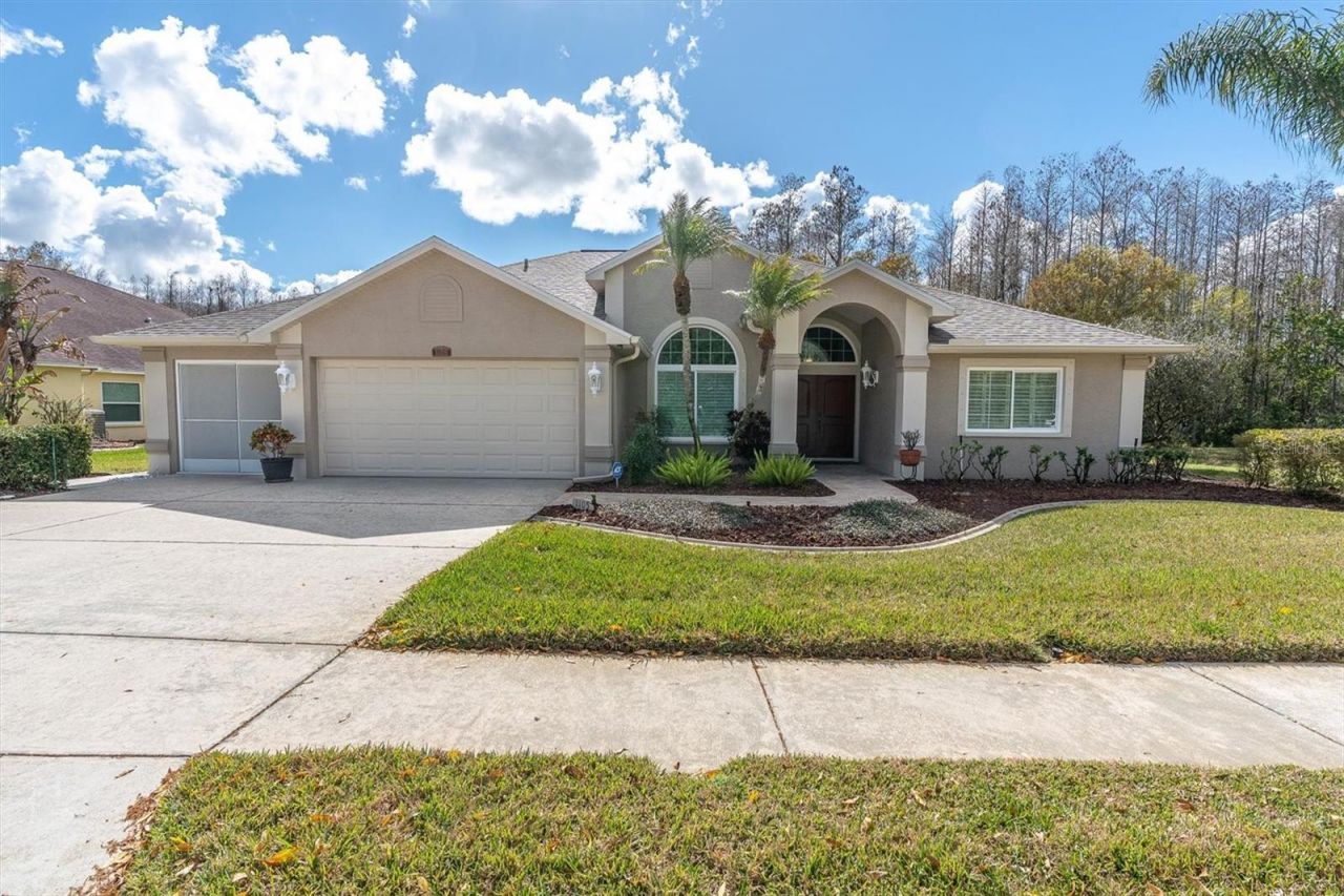 1105 Arlinbrook Drive, Trinity, FL 34655 Photo