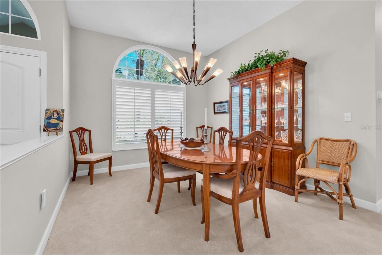 1105 Arlinbrook Drive, Trinity, FL 34655 Photo