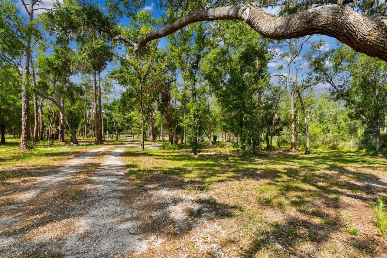 2853-2879 Saffold Road, Wimauma, FL 33598 Photo