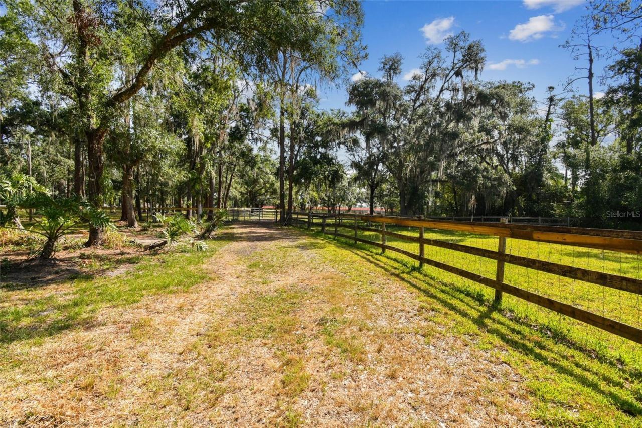 2853-2879 Saffold Road, Wimauma, FL 33598 Photo