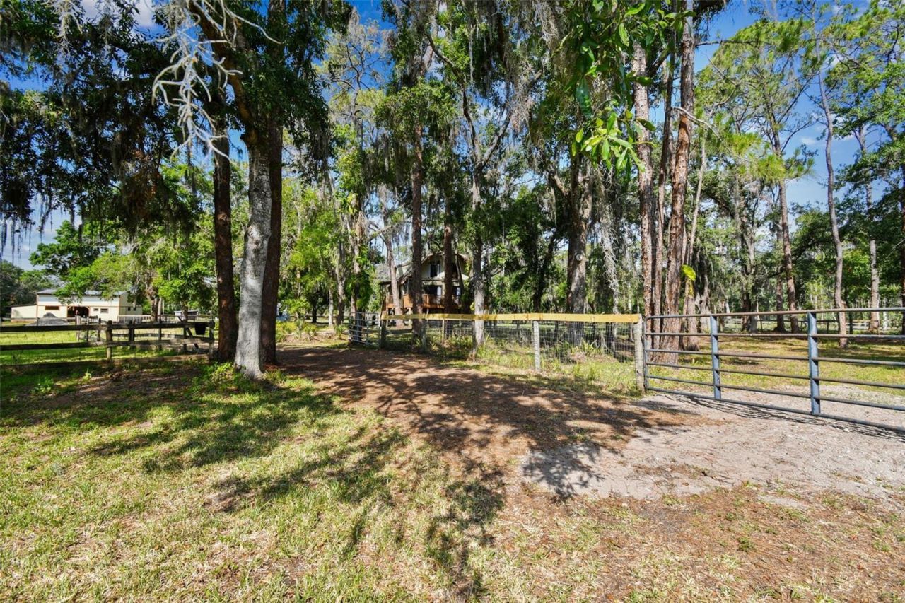 2853-2879 Saffold Road, Wimauma, FL 33598 Photo