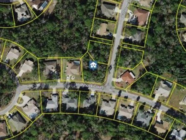 36 HOLLYHOCK COURT , HOMOSASSA, FL 34446