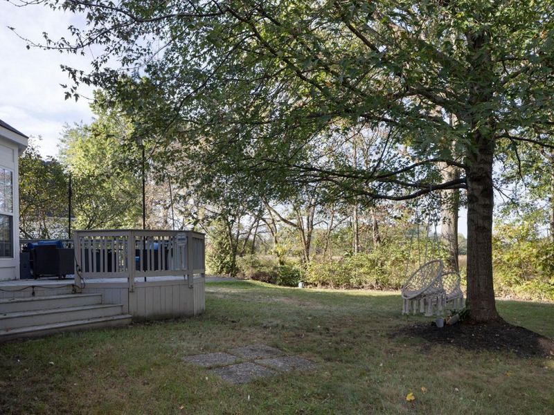 5069 Cloudberry Pass, New Albany, OH 43054 Photo 47