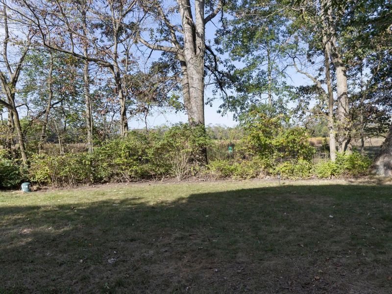 5069 Cloudberry Pass, New Albany, OH 43054 Photo 51