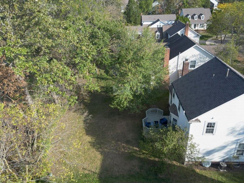 5069 Cloudberry Pass, New Albany, OH 43054 Photo 6