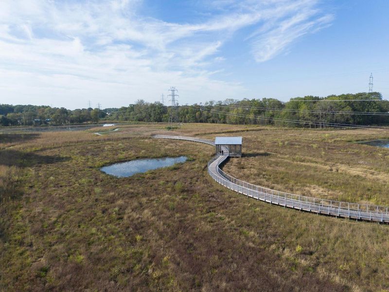 5069 Cloudberry Pass, New Albany, OH 43054 Photo 9