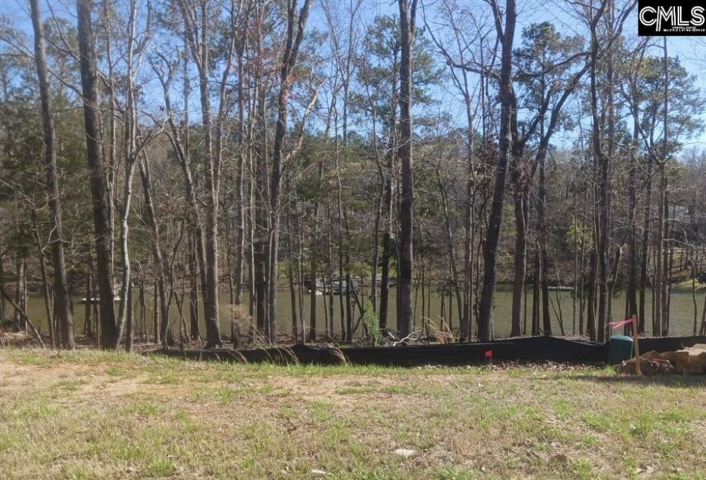 1061 Refuge Place  Photo 10