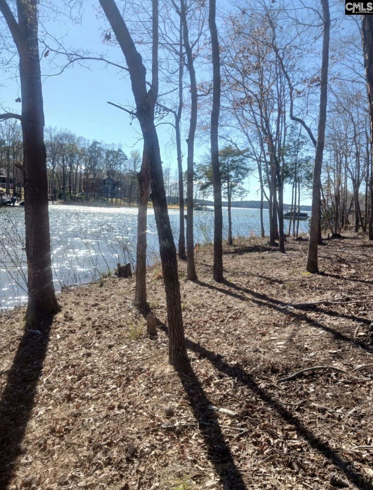 1061 Refuge Place  Photo 11