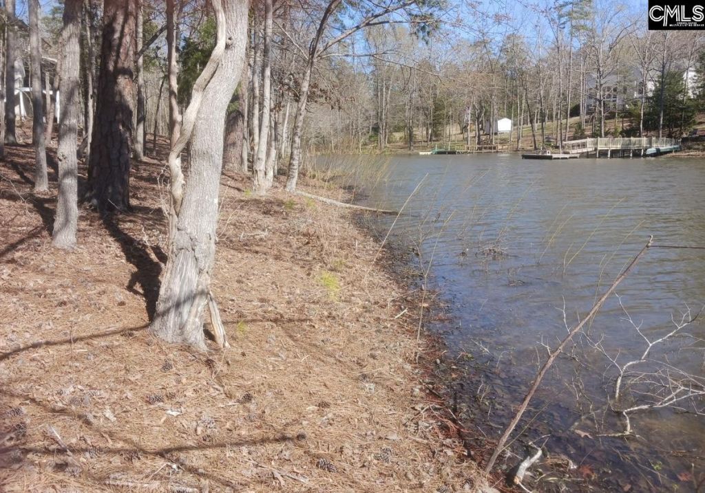 1061 Refuge Place  Photo 8