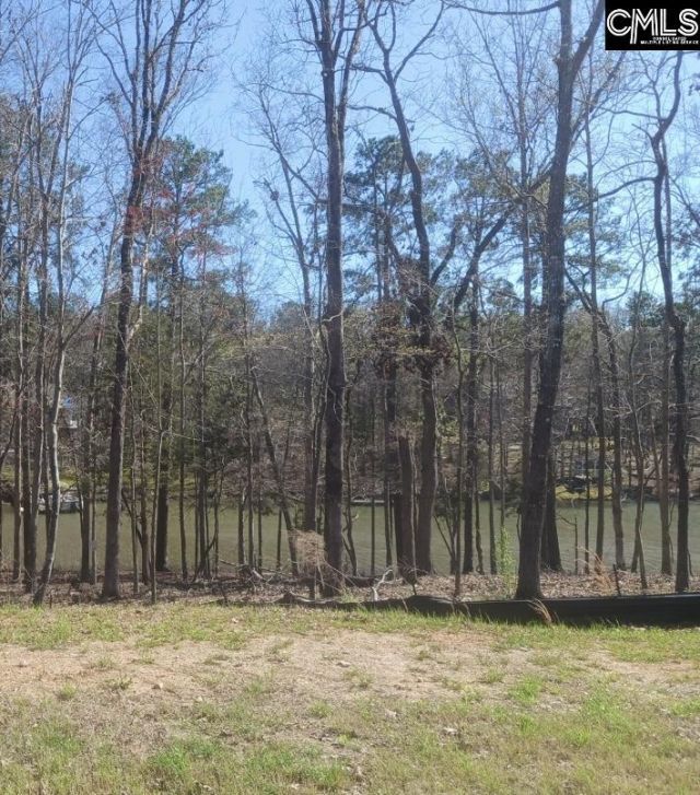 1061 Refuge Place  Photo 9