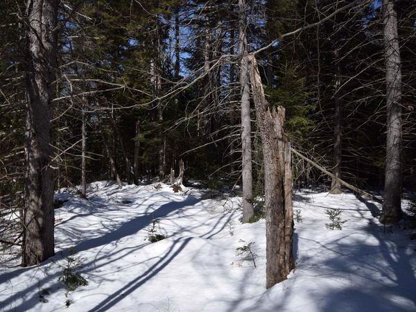 Lot 141 Presidential Drive, Washington, NH 03280