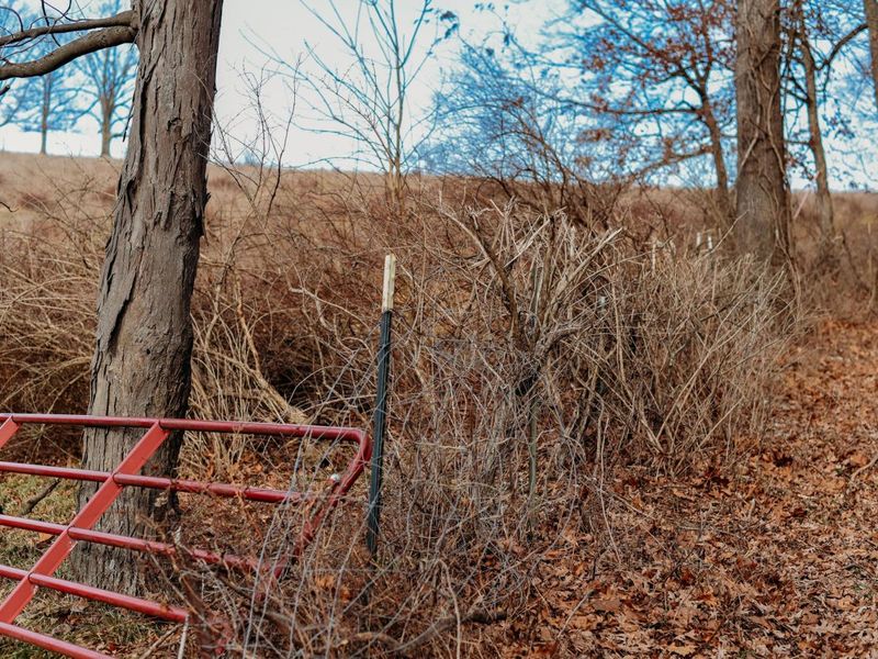 0 Martinsburg Road , Saint Louisville, OH 43071 Photo 3