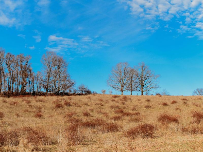 0 Martinsburg Road , Saint Louisville, OH 43071 Photo 5