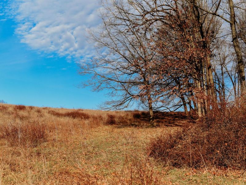 0 Martinsburg Road , Saint Louisville, OH 43071 Photo 7