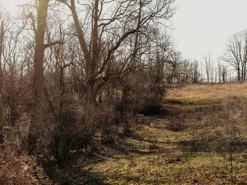 0 Martinsburg Road , Saint Louisville, OH 43071 Photo 9