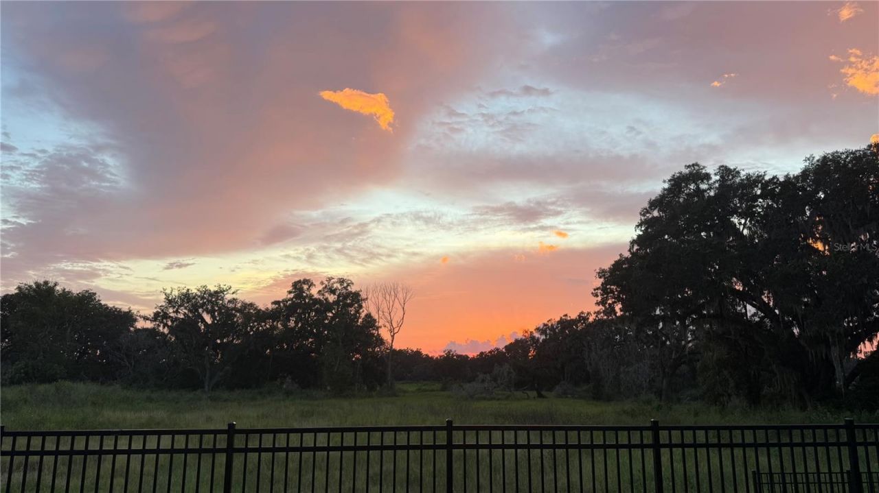 6773 Ripple Pond Loop, Zephyrhills, FL 33541 Photo