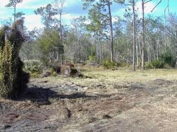 121 PERSIMMON TRAIL , LAKE PLACID, FL 33852